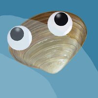 Untitled Clam Game screenshot, image №2599582 - RAWG