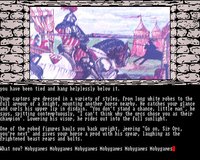 Knight Orc (1987) screenshot, image №755839 - RAWG