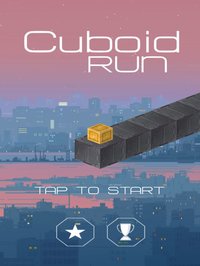 Cuboid Run screenshot, image №1827850 - RAWG
