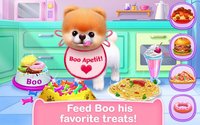 Boo - The World's Cutest Dog screenshot, image №1540017 - RAWG