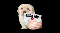 Date a Fucking Dog (Totally a Dating Sim 100% Real) screenshot, image №2692305 - RAWG