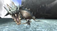 Monster Hunter Tri screenshot, image №246299 - RAWG