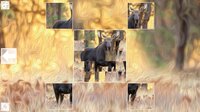 Puzzle Art: Artiodactyls screenshot, image №3076681 - RAWG