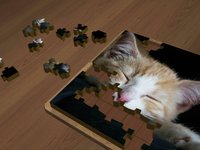 Super Jigsaws Kittens screenshot, image №1955013 - RAWG