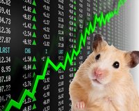 Hamster Stocks screenshot, image №3698728 - RAWG