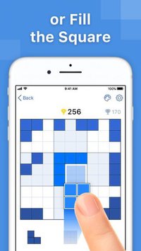 BlockuDoku - Block Puzzle screenshot, image №2023591 - RAWG