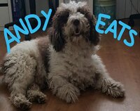 Andy Eats screenshot, image №3171713 - RAWG