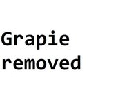 Grapie.lemon screenshot, image №1972246 - RAWG