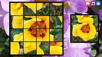 OG Puzzlers: Spring 2K24 screenshot, image №4040245 - RAWG