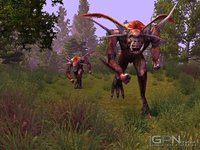 Ragnesis Online screenshot, image №467996 - RAWG