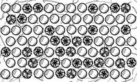 BubbleWrap+ screenshot, image №3756761 - RAWG