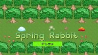 Spring Rabbit screenshot, image №1851493 - RAWG