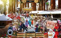 Christmas Wonderland 6 - Hidden Object Adventure Game screenshot, image №1962402 - RAWG