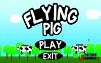 FLYING PIG (AKTIVE GAMES) screenshot, image №2844732 - RAWG