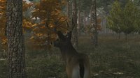 Deer Simulator screenshot, image №331 - RAWG