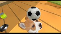 Puppy Doge VR screenshot, image №234918 - RAWG