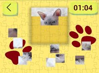 Ultimate Puzzles Cats 2 screenshot, image №2989119 - RAWG