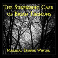 The Surprising Case of Brian Timmons screenshot, image №1103075 - RAWG