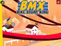BMX Bike Stunt Race screenshot, image №974125 - RAWG