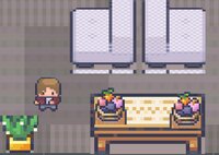 Cats Now! screenshot, image №3735795 - RAWG