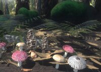 Pioneering life screenshot, image №3785996 - RAWG