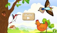 Birds Game for Toddlers Puzzle screenshot, image №1589280 - RAWG