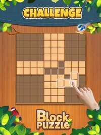 Block Puzzle: Board Games screenshot, image №2528190 - RAWG