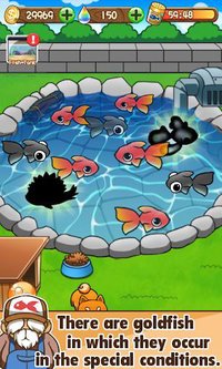 Goldfish Collection screenshot, image №1491914 - RAWG