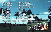 True Golf Classics: Waialae Country Club screenshot, image №763145 - RAWG