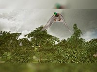 Classic Bird Hunter: Real Forest Shooting Simultor screenshot, image №1910361 - RAWG