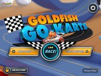 Goldfish Go-Karts screenshot, image №1416281 - RAWG