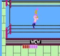 WCW World Championship Wrestling screenshot, image №3943687 - RAWG