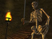 The Elder Scrolls III: Morrowind screenshot, image №289988 - RAWG
