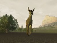 Deer Hunter 2005 screenshot, image №405122 - RAWG