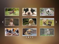 Puppies Jigsaw Puzzles Free Pet Games for Kids screenshot, image №1492930 - RAWG