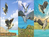 Birds Sniper Shooting screenshot, image №923475 - RAWG