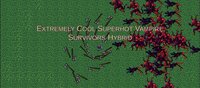 Save Hury 2: Superhot Vampire Survivors Boogaloo [TITLE IN PROGRESS] screenshot, image №3749998 - RAWG