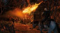 The Witcher 3: Wild Hunt screenshot, image №58904 - RAWG