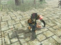 Dungeon Siege: Legends of Aranna screenshot, image №370003 - RAWG