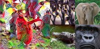 ImagiZoo screenshot, image №1267092 - RAWG