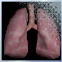 Organ Breakout (NullableMug) screenshot, image №3832407 - RAWG