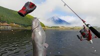 Real VR Fishing screenshot, image №4134607 - RAWG