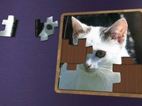 Super Jigsaws Kittens screenshot, image №1955011 - RAWG