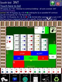 BJ Bridge Pro screenshot, image №2056545 - RAWG