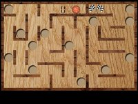 Wood Maze Deluxe screenshot, image №1959349 - RAWG