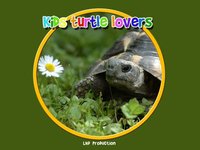 kids turtles lovers - free screenshot, image №1866584 - RAWG