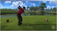 Tiger Woods PGA Tour Online screenshot, image №530823 - RAWG