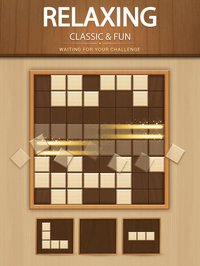 Wood Block Puzzle Game screenshot, image №1638439 - RAWG