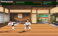 Budokan: The Martial Spirit screenshot, image №314531 - RAWG