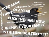 BIRD GAME OF THE YEAR YIPPEE screenshot, image №3852334 - RAWG